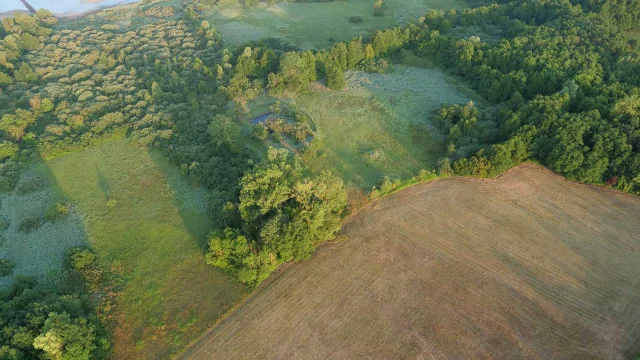 Chemin des marais au Lac de Paladru
