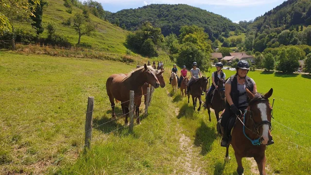 Randonnee Cheval Chartreuse