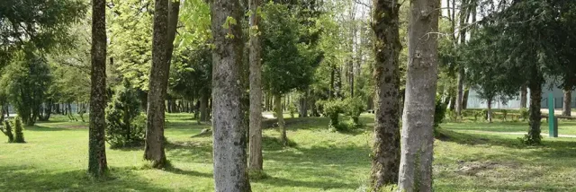 Parc Du Vergeron Moirans