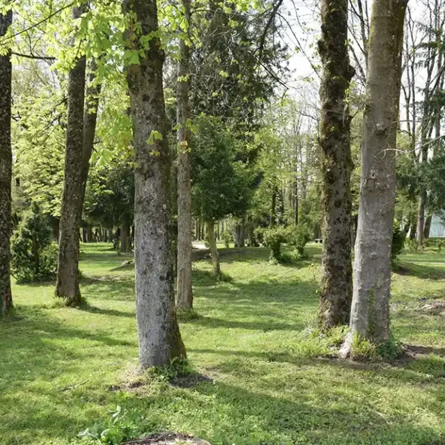 Parc Du Vergeron Moirans