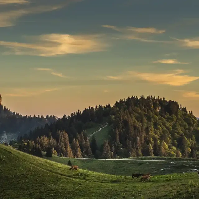 Depuis la route du Charmant Som, face à la Pinéa