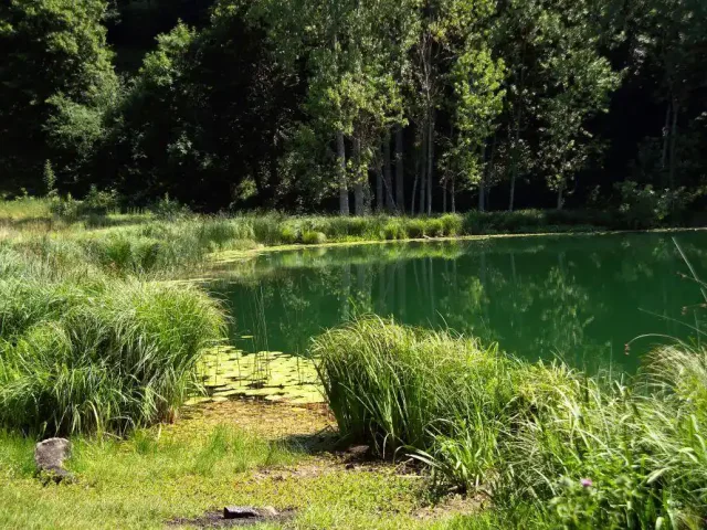 Lac Saint Sixte Merlas