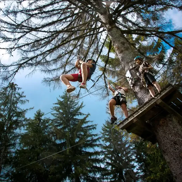 Accrobranche Aiguebelette Accrolac