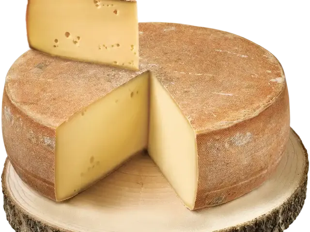 Fromage Mont Granier