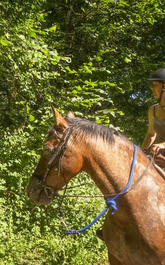Itinérance à cheval en Chartreuse
