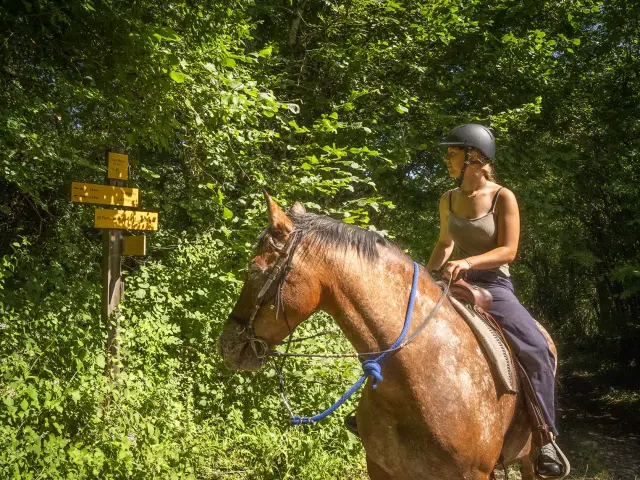 Itinérance à cheval en Chartreuse
