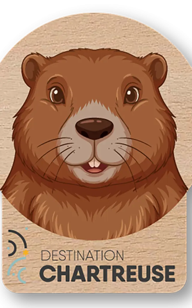 Badge Marmotte