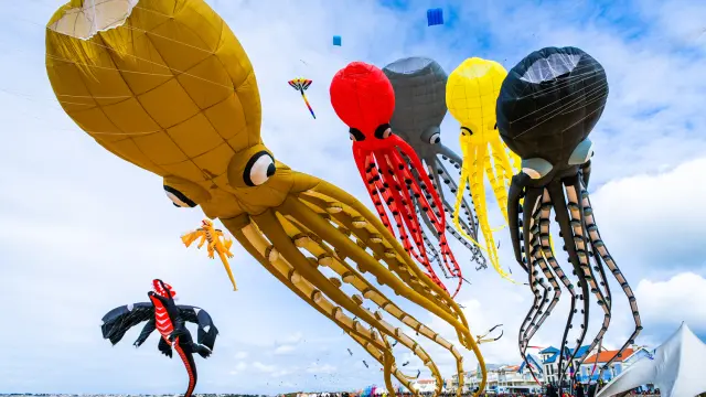 Festval Cerf Volant Chatelaillon