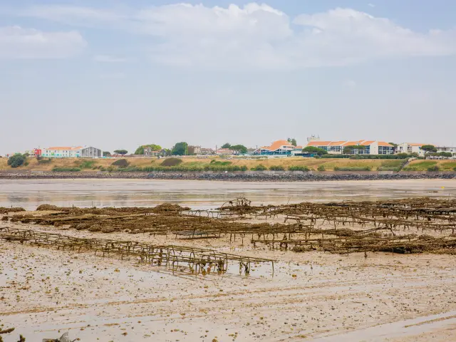 Parc Huitres Boucholeurs