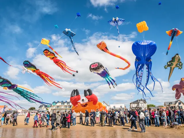 Cerf Volant Xxl Olivierpravert