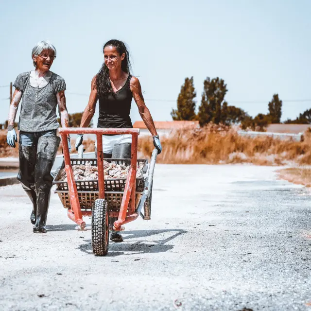 Ostreicultrices Laurinda Hu