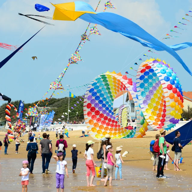 festival-cerf-volant-ambiance-olivier-pravert.jpg