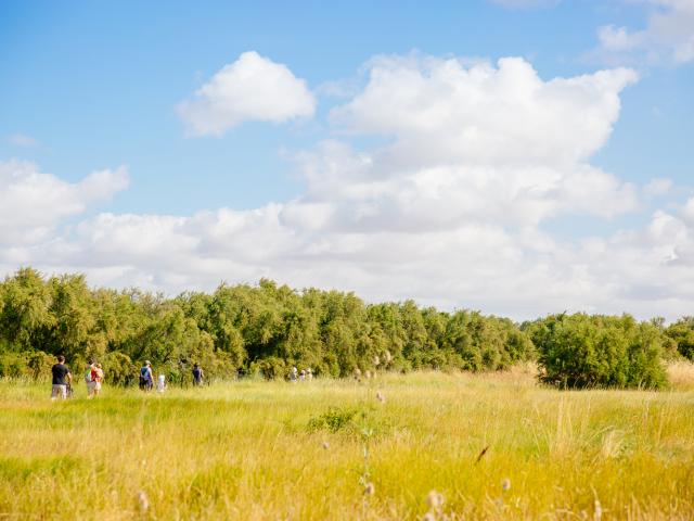 Marais Yves Chatelaillon Tourisme