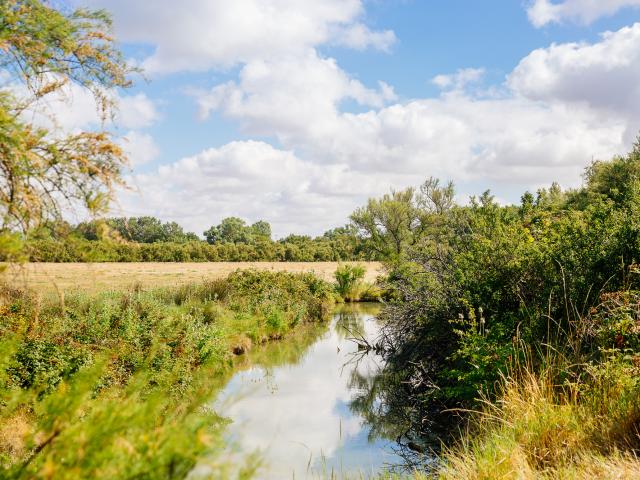 Marais Yves Conteurs