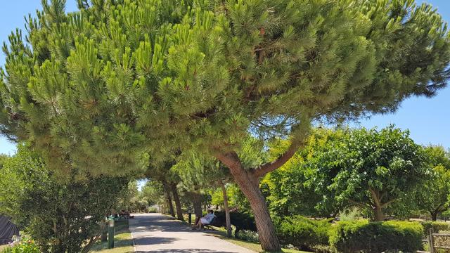 Parc Chatelaillon Plage