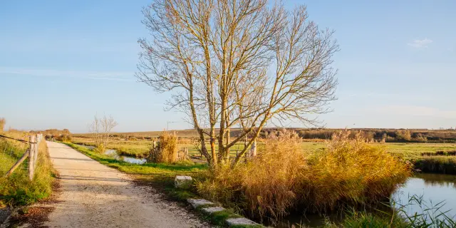 Balade nature Chatelaillon