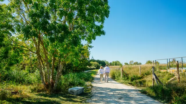 couple-chatelaillon-storytellers-agency-30