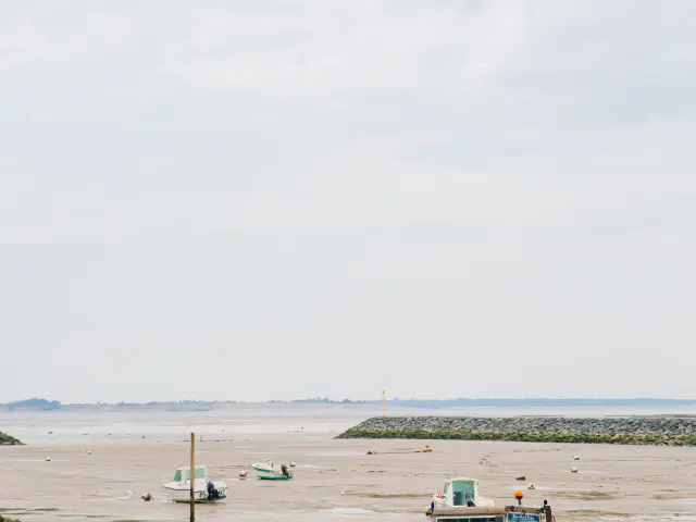 Parc Huitres Chatelaillon Tourisme Agence Les Conteurs 26