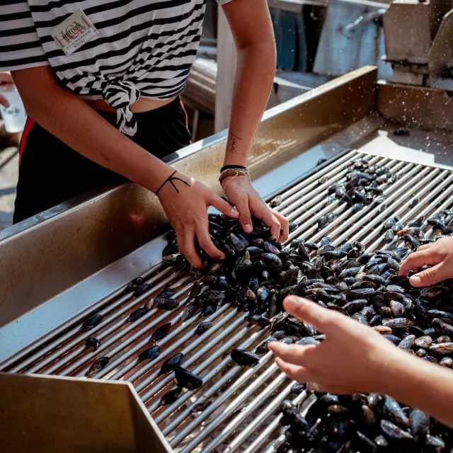 2024 08 11 Fete Des Boucholeurs Jeromine Photographe 39