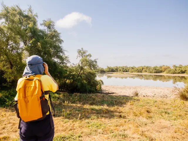 Personne en tenue de randonnée jaune et bleu observant des oiseaux avec des jumelles