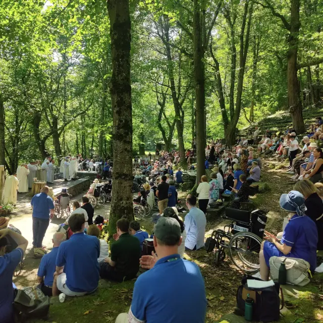 Celebración en la Cathédrale de Verdure en un día soleado