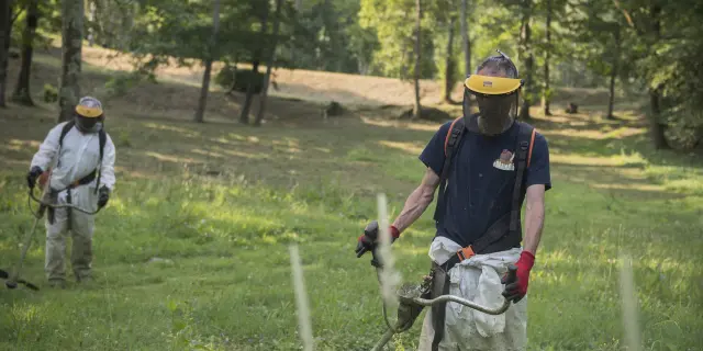 The green spaces department in action