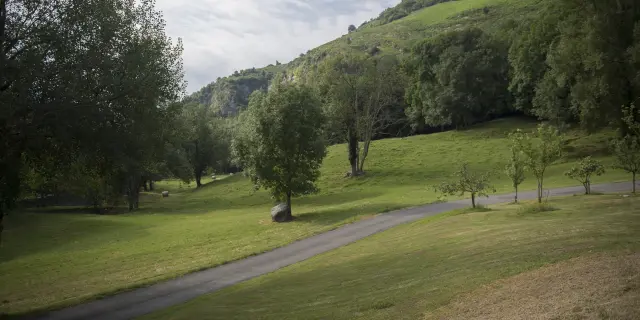 Natural landscape of the Cité Saint-Pierre