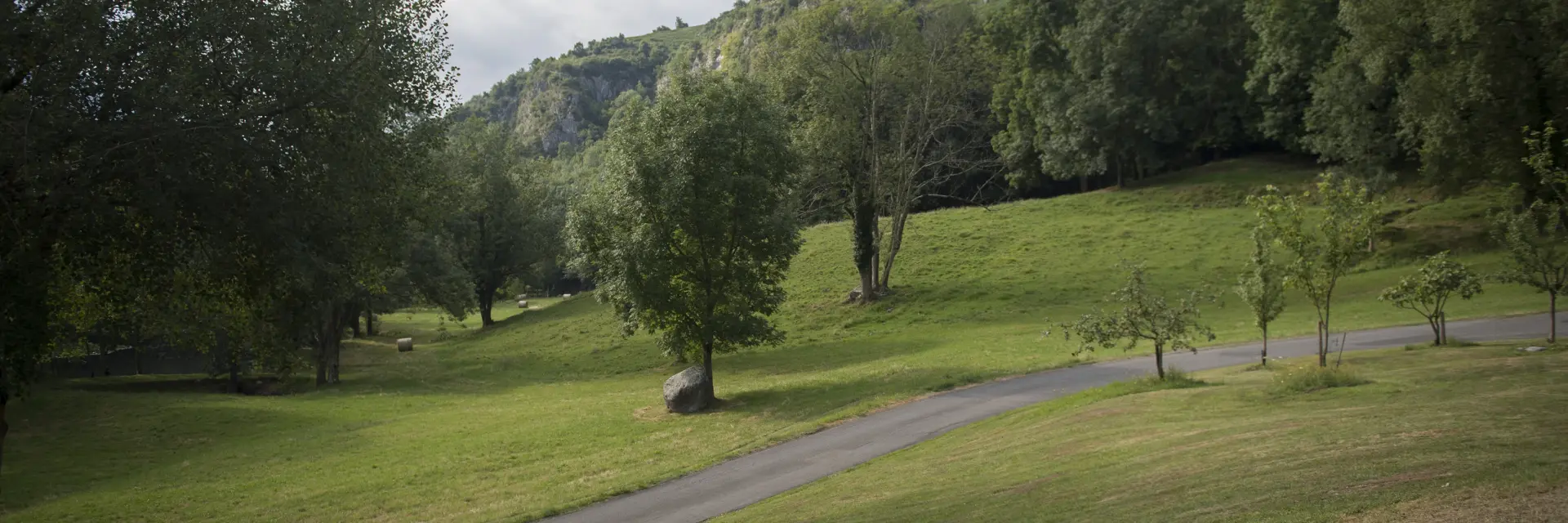 Paisaje natural en la Cité Saint-Pierre