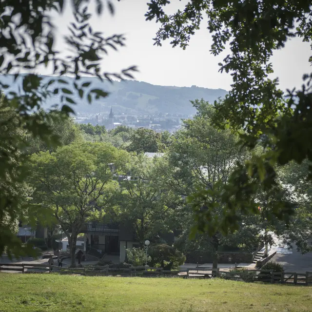 Vista de la Cité Saint-Pierre