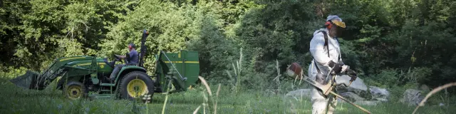 Le service Espaces Verts en action !