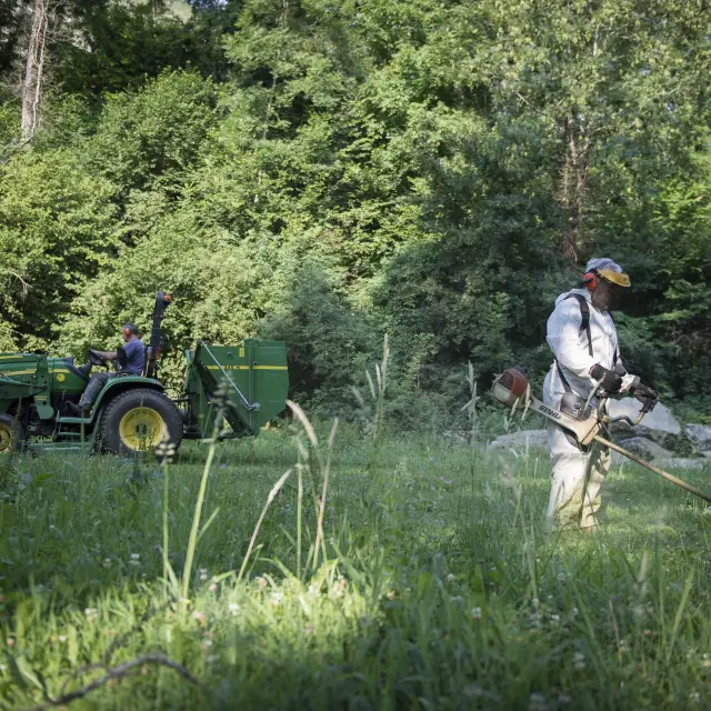 Le service Espaces Verts en action !
