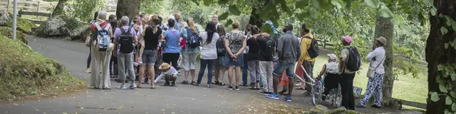 A guided tour of the Cité Saint-Pierre