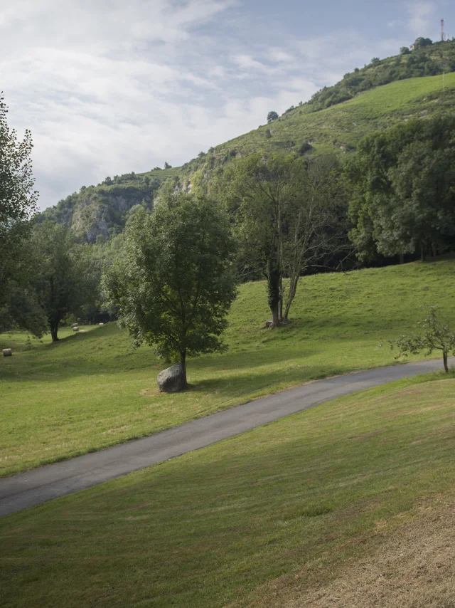 Naturlandschaft innerhalb der Cité Saint-Pierre