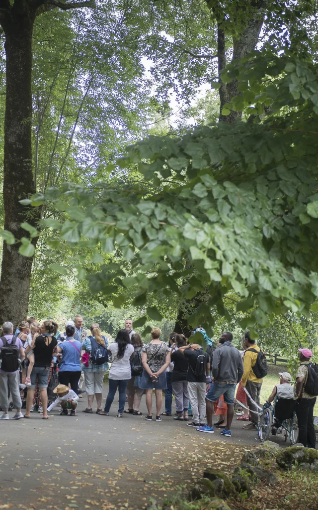 A guided tour of the Cité Saint-Pierre