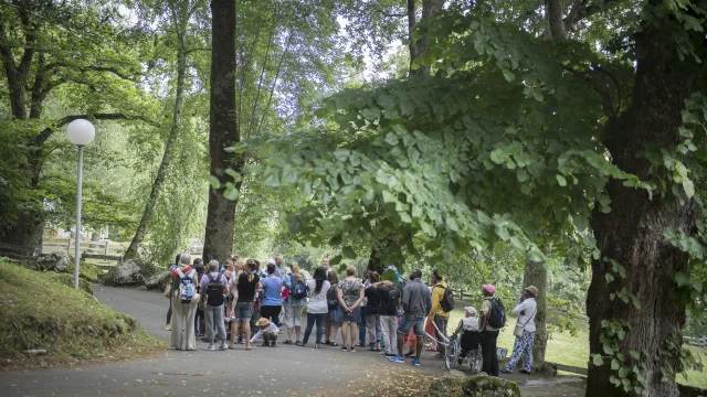 Une visite guidée à la Cité Saint-Pierre