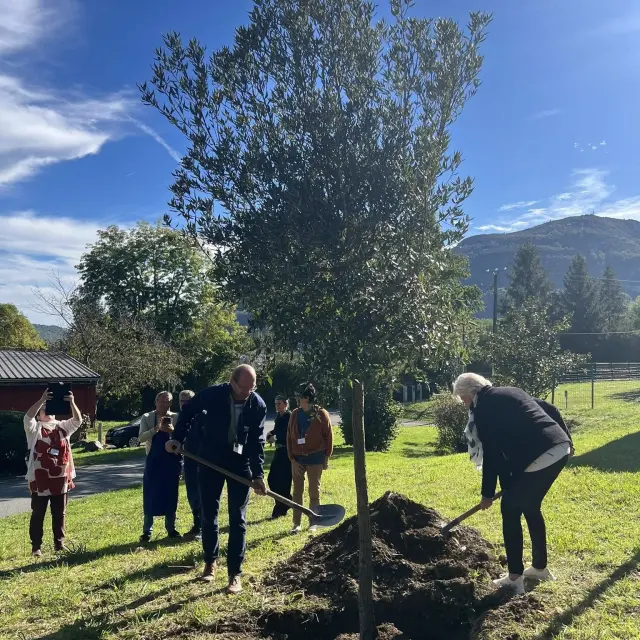 Plantation du chêne offert à la Cité Saint-Pierre par l'entreprise Vera