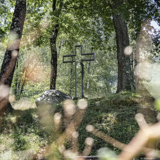 La beauté du Bois Saint-François de la Cité Saint-Pierre