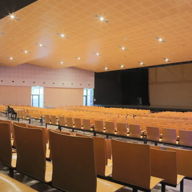 Cité St Pierre - Juillet 2025