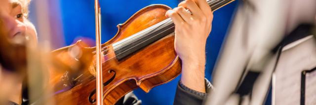 Violon