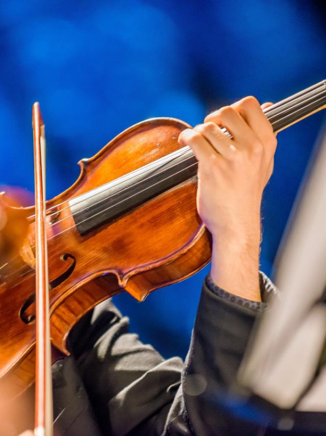 Violon