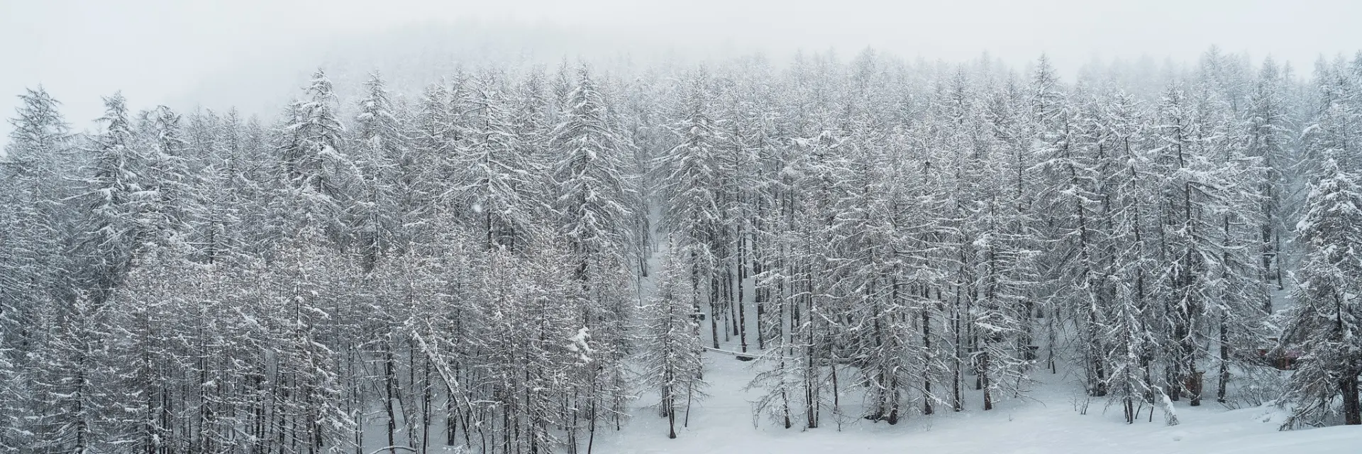 500866027 10161973257628096 2761827327065478835 N