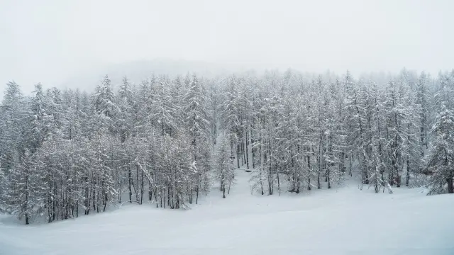 500866027 10161973257628096 2761827327065478835 N