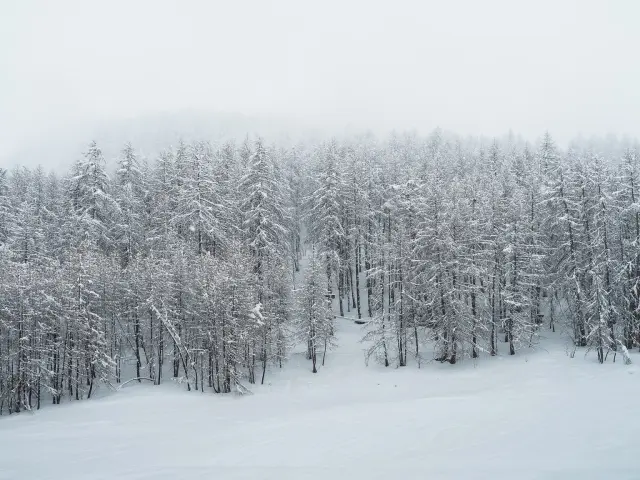 500866027 10161973257628096 2761827327065478835 N