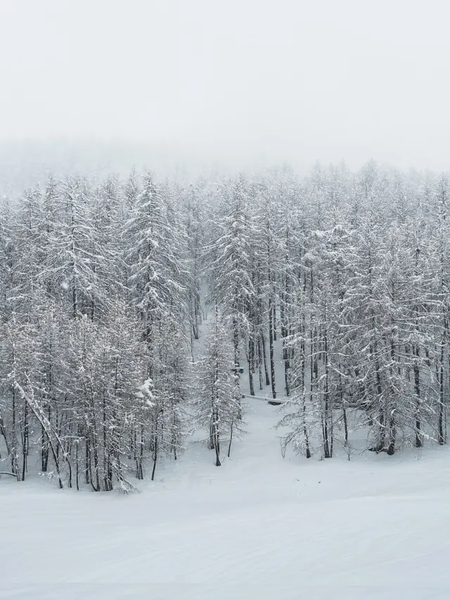 500866027 10161973257628096 2761827327065478835 N