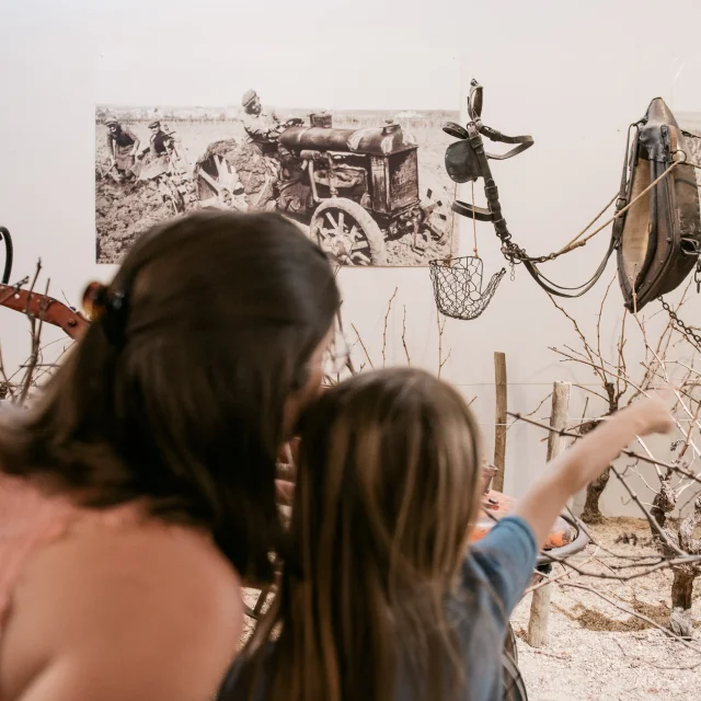 Visit to the Musée du Vignoble Nantais