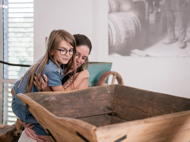 Visit to the Musée du Vignoble Nantais