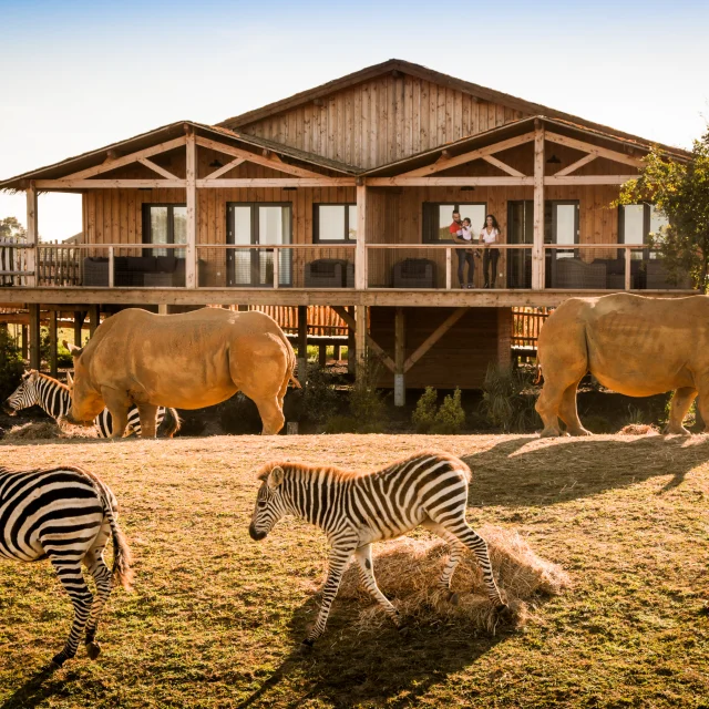 Africa Lodge pour votre séminaire au Zoo de la Boissière du Doré