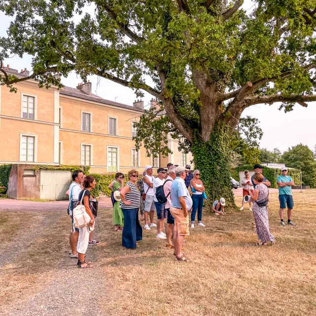Rutas del Vino: Escapade en Muscadet