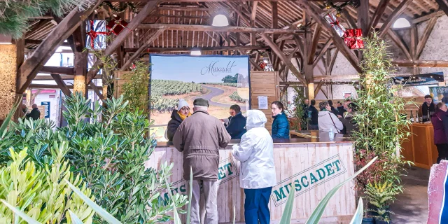 A highlight in the Vignoble Nantais: The Muscadet New Year