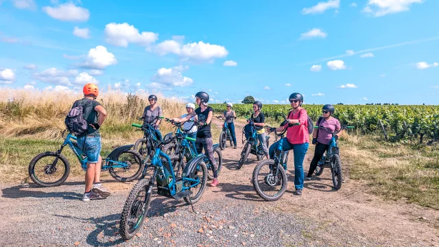 Melon B. electric scooter tour in the Vignoble Nantais, by Trott'in Nantes